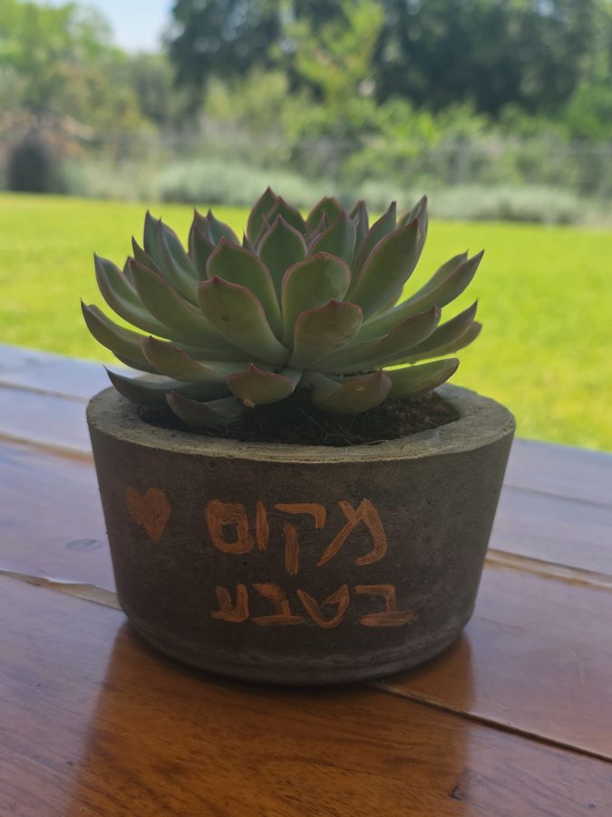 רגע מהאירוח